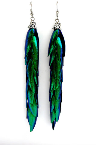 Beetle Wing Earrings